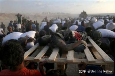 戏：加沙人的死亡陷阱ky开元棋牌饥饿游(图9)